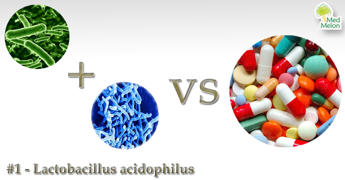 Lactobacillus acidophilus probiotics antibiotics
