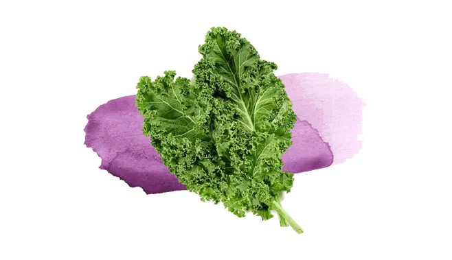 Λάχανο kale – βιολογικό