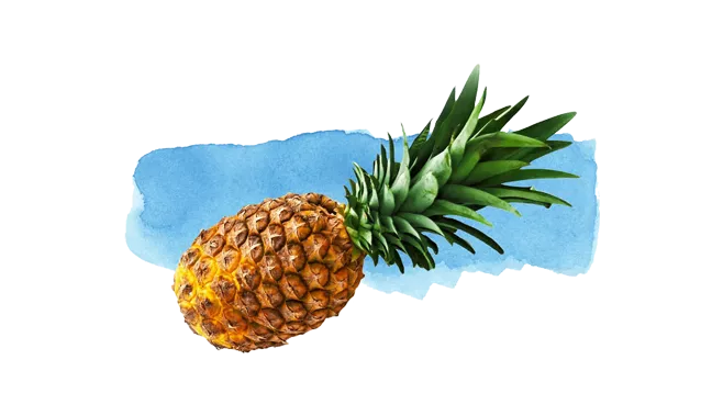 Stem bromelain (Ananas comosus)