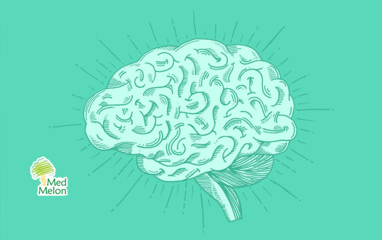 Γιατί η φόρμουλα του O-Krill 3 Brain Support είναι πολύτιμη για την εγκεφαλική λειτουργία;